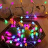 Easter String Lights LED Multi Color Glass C3 Lights 50