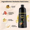 2pzs Hair Dye Shampoo Tinte Para Cubre Canas Mujer Y