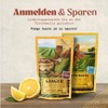NaturaleBio Ginger Powder Organic 400 g Ginger Shot Powder, 100%
