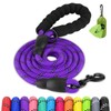 Joytale Dog Leash for Small Dogs, Heavy Duty Nylon Leashes