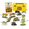 3D Illustration Real Figure Box Wildcat Cat Animal