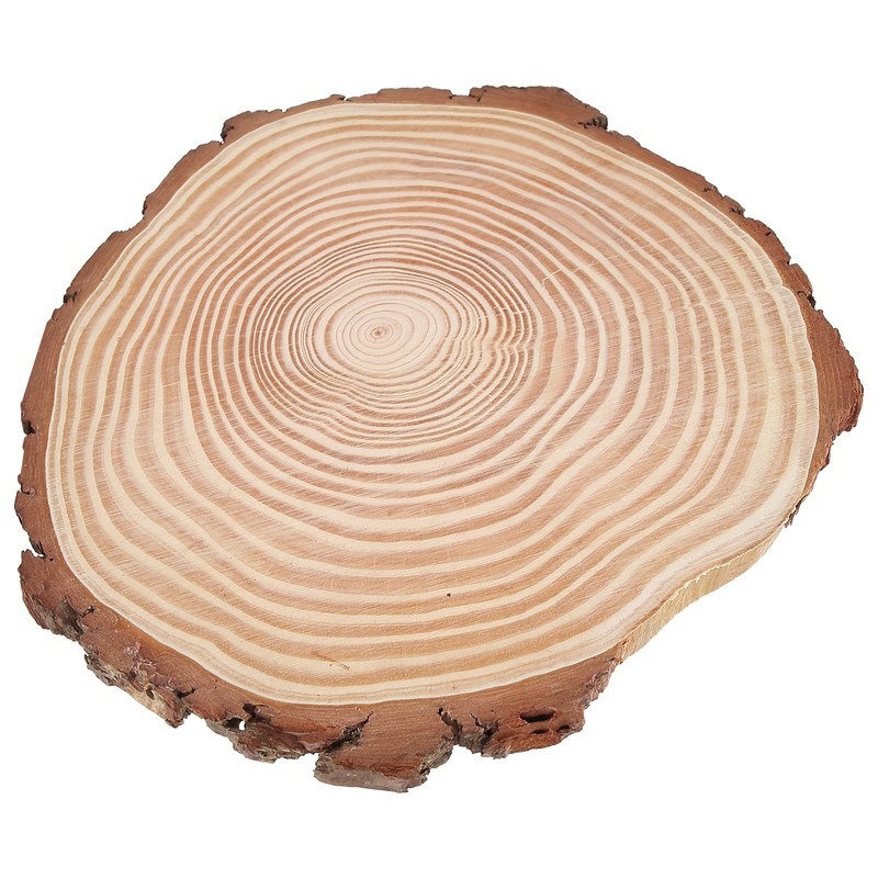 Natural Wood Slices Unfinished Wood Circles Ornaments Irregular Wood Slices