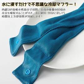 [DUOLEIMI] Neck Cooler, Cooling Towel, Neck Hanging Cool Band, Built-In Cold Pack, Washable, Heatstroke Prevention, For Sports, Farm Work, Construction Sites, bluegrey