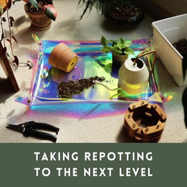 The Green Alcove Plant Repotting Mat for Indoor Outdoor Gardening, Holographic Roll Out Potting Mat Tarp - Gifts for Plant Lovers Women (Blue)