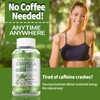 OALSE Soursop Graviola Gummies, Sour SOP Leaves & Fruit Extract