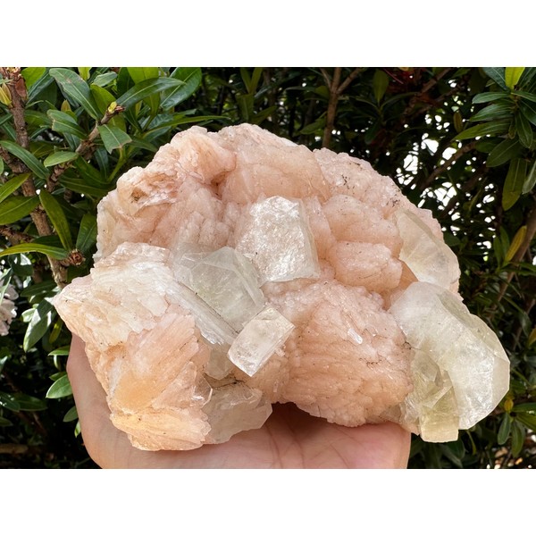 GAF TREASURES Large Apophyllite & Stilbite Crystal Cluster 3-8", Natural