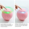 Smart Pet Toy Ball ABS and Silicone Automatic Rolling Toy