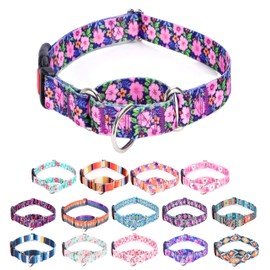 Moonpet Martingale Collar for Dogs Adjustable Soft Durable Dog Collar for Small Medium Large Boy and Male Dogs No Pull No Slip Safety Buckle Dog Collars-Daisy/Large