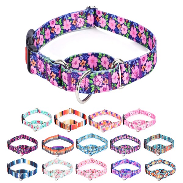 Moonpet Martingale Collar for Dogs Adjustable Soft Durable Dog Collar