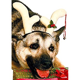 Christmas Rudolf Costume Reindeer Antlers For Pet Dog