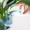 Cute Bird Plant Watering Spikes Self Watering Spikes Automatic Plant