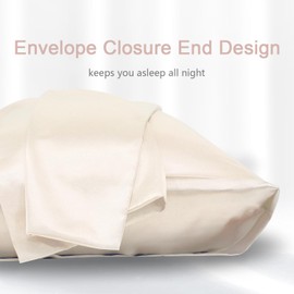 2 Piece Satin Pillowcase for Hair and Skin Similar to Silk Pillow Cases with Envelope Closure Cooling Pillow Cases for Sleeping Gifts for Women Men (20"x30"Queen Size,Champagne)