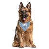 Drinking Buddy Dog Bandana, Drinking Buddy Dog Shirt, Funny Cute