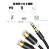 RCA 3.5mm Converter Cable 30cm RCA Cable Red White Audio