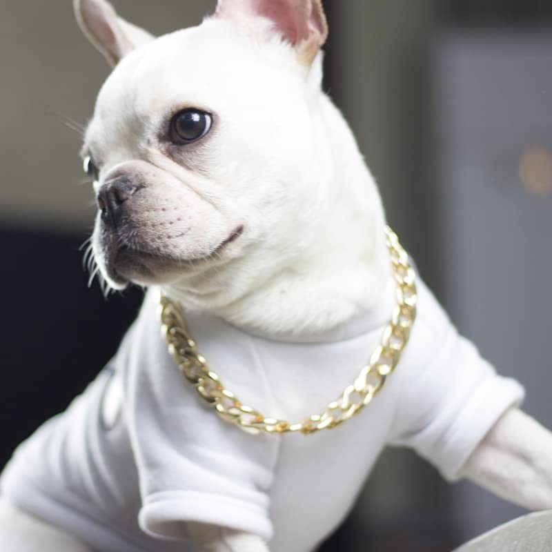 Dog Chain Collar Heavy Duty Choker Double Pet Slip Check