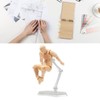 Movable Mannequin, Action Figure Body, Adjustable Poses, Drawing Model for