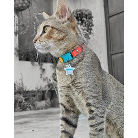 Kittyrama Reflective Cat Tag.Safety Cat Tag.Lightweight, Highly Visible, Waterproof, Fits All Reflective Cat Collars. Other Styles Available, Non-precious metal