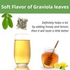 40 Soursop Leaves Tea Bags, Dried Soursop Graviola Leaves Tea,