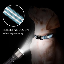 JOYEEIIOO Martingale Collar for Dogs, Reflective, Metal Buckle,Blue,M