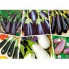 RAISE ME UP: Seeds Eggplant Long Mix Non GMO Heirloom
