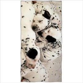 Zomer Dalmatian Dog Printed Microfibre Beach Towel 70 x 140 cm