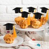 Gyufise 24Pcs 2024 Graduation Cap Cupcake Toppers with Gold Tassel