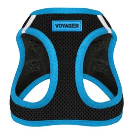 Voyager Step-In Air Dog Harness - All Weather Mesh, Reflective, No Pull Harness for Small, Medium Dogs, Cats - Secure with Hook & Loop Fastener, Buckle, Double D-Rings - Blue Trim, L