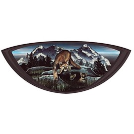 1 RV TRAILER CAMPER KEYSTONE PUMA Graphic Decal-2005