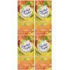 Crystal Light On The Go Peach Mango Green Tea, 10