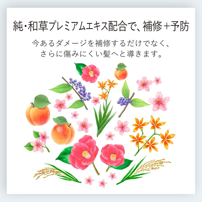 Ichi-Hair Smooth Care Shampoo & Conditioner Mini Set 40mL +