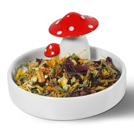 Niteangel Hamster Feeding & Water Bowls- Mushroom Ceramics Series Food Dish Feeding Bowls for Dwarf Syrian Hamsters Gerbils Mice Rats or Other Similar-Sized Small Pets (Feeding Bowl)