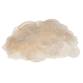 NaDeco Camar Mother of Pearl Discs in Natural, Pack of 0.5 kg | Mother of Pearl Discs for Crafts | Capiz | Make Your Own Price Tags | Name Tags | Mother of Pearl Discs | Decorative Shell