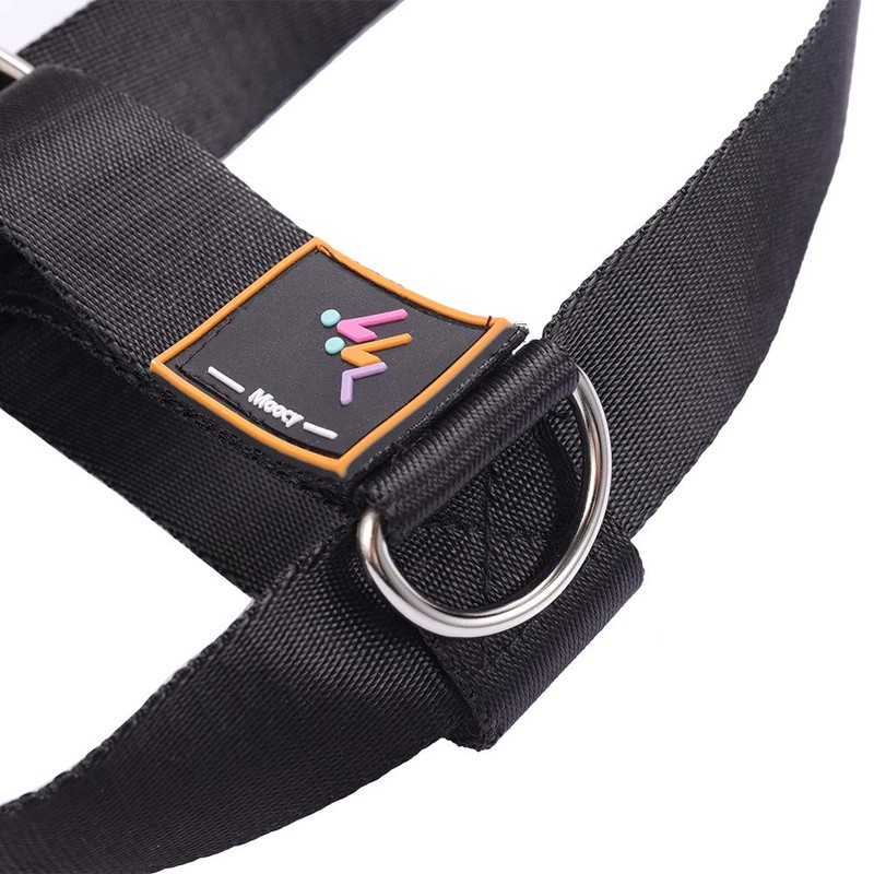 MOOCY 2 Pack Foot Strap for Cable Machine Fitness Attachment