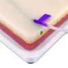 Medarchitect Venipuncture IV - Almohadilla de entrenamiento de inyección con