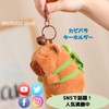 merkmal shop Keychain, Capybara, Plush Keychain, Fluffy, Capybara-san Ball Chain,