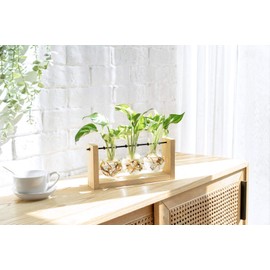 Mkono Plant Terrarium with Wooden Stand, Wall Hanging Glass Planter Tabletop Propagation Station Bulb Vase Metal Swivel Holder Retro Rack with 3 Bud Bottle for Hydroponics Plants Home Office Decor