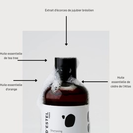 SERGE D'ESTEL PARIS Anti-Dandruff Shampoo Sulphate Free Vegan Formula with Tea Tree Anti-Itch Cleansing Hair Care 250 ml