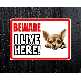 Chihuahua Sticker Beware I Live HERE House Home Window Door Porch Printed Decal