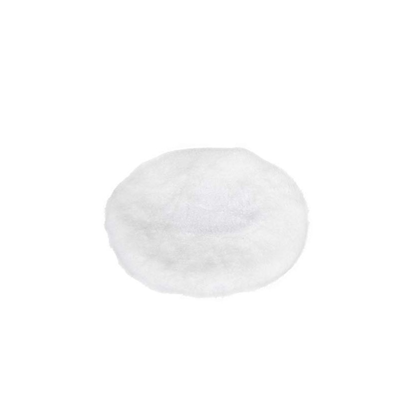 WORX WA4250 Car Polishing Hood WX856