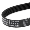 CONTITECH 5PK847 V-Ribbed Belt