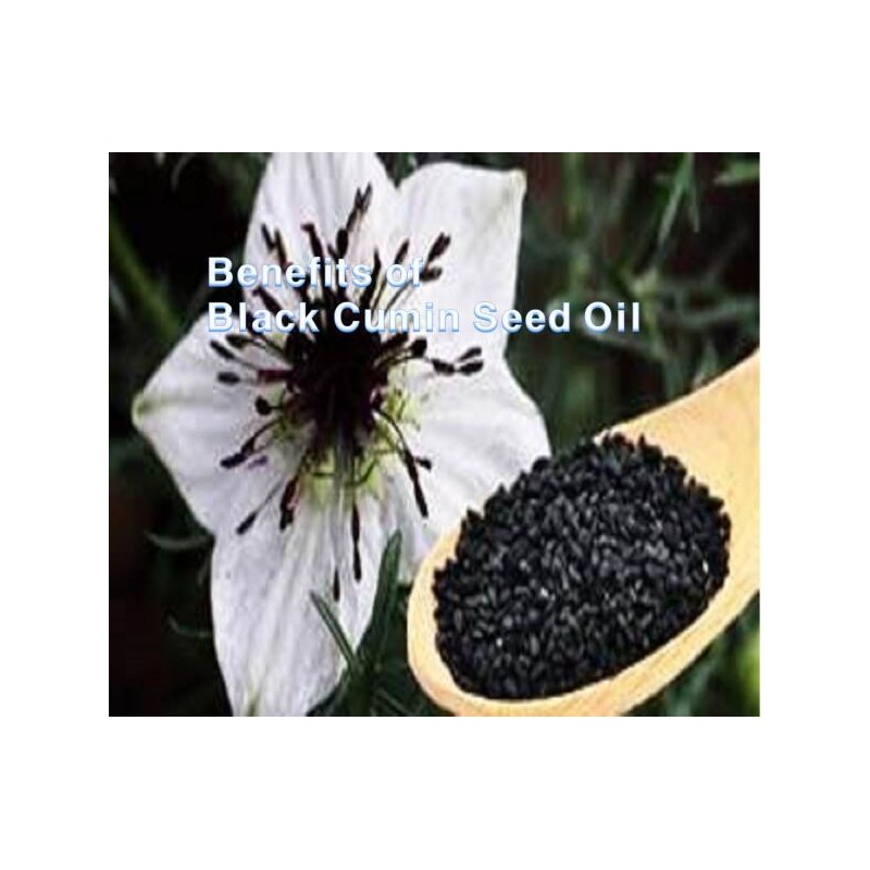 블랙커민오일 100% 순수에센셜 페이스오일 20ml Black Cumin Oil 100% Pure