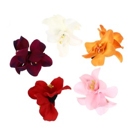SAFIGLE 5pcs Double Orchid Flower Hair Clips for Women Hawaii Party Hairpin with Strong Grip Elegant Floral Hair Accessories for Daily Wear