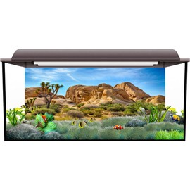 CSFOTO Polyester 48X18 Inches Joshua Tree National Park Backdrop Arid Barren Cactus Sandstone Rock Climate Mountain and Desert Scenery Backdrop Desert Terrarium Background