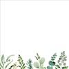 Eucalyptus Desk Notes (250 sheets)