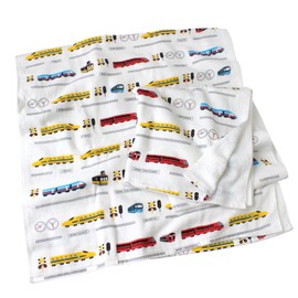 Hiorie Bath Towel, Boys Pattern, Gauze Towel, Set of 2, Train, Senshu Towel, Made in Japan