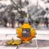 Brien 100% Pure Maple Syrup, Gluten Free Vegan Syrup, Gift