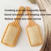 Air Cushioned Hair Brush Snag Free Wooden Hairbrush Anti Static