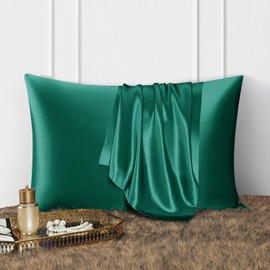 DISANGNI 100% Natural Mulberry Silk Pillowcase for Hair and Skin with Hidden Zipper 22 Momme Double Sided Real Silk Dark Green 2 Pack Standard Size 20x26 Inch