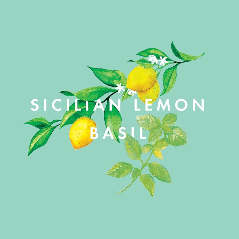 NEOM - Feel Refreshed Essential Oil Blend, 10ml | Sicilian