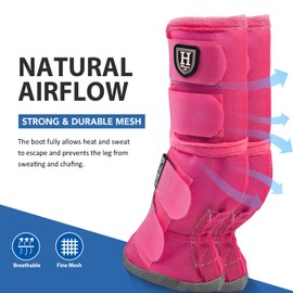 Harrison Howard Horse Fly Boots Perfect Contoured Fit Leg Guards Dense Mesh Boots with Ventilated Comfort Reliable Protection from Summer Elements Set of 2 Magenta Large